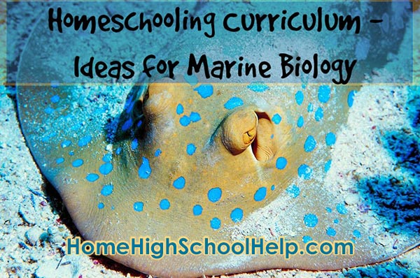 Homeschool Curriculum Ideas For Marine Biology