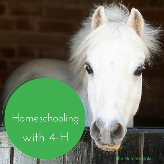 homeschooling with 4-H