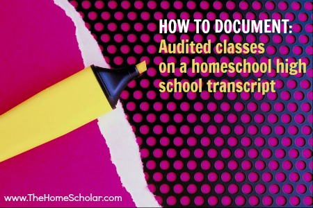 How to Document Audited Classes