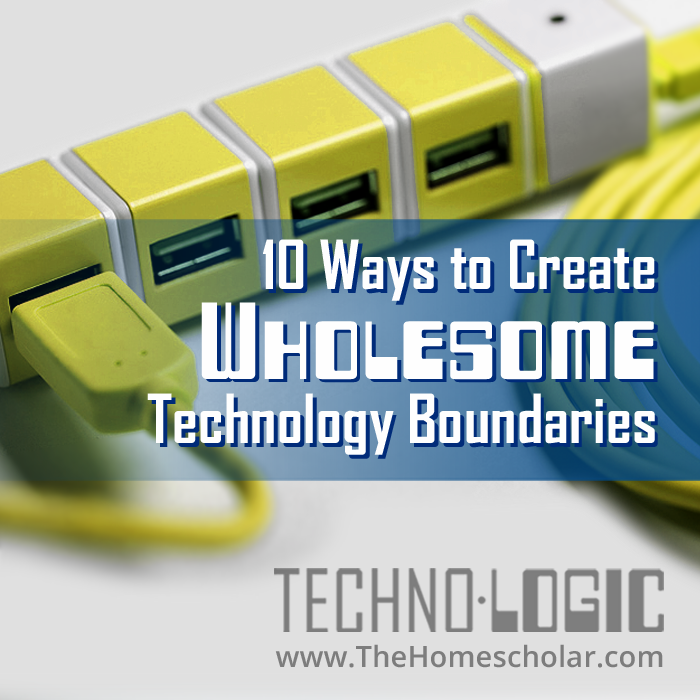 wholesome technology boundaries