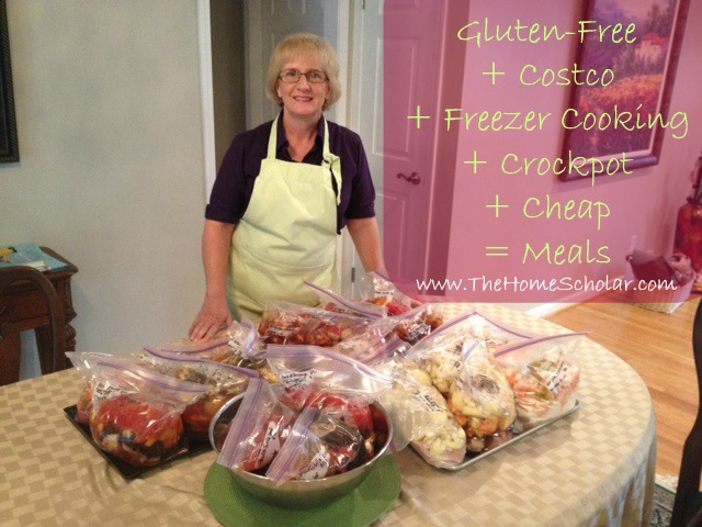 Gluten Free + Costco + Freezer Cooking + Crockpot + Cheap  = Meals