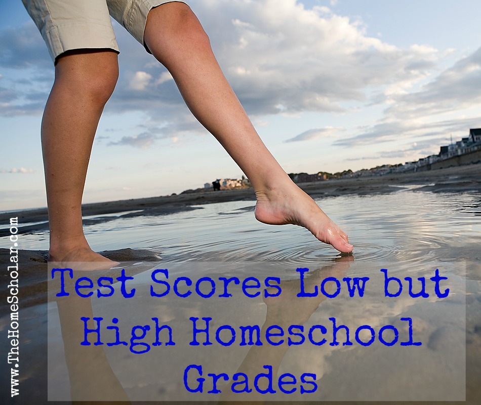 #Test Scores Low but High Homeschool Grades @The HomeScholar