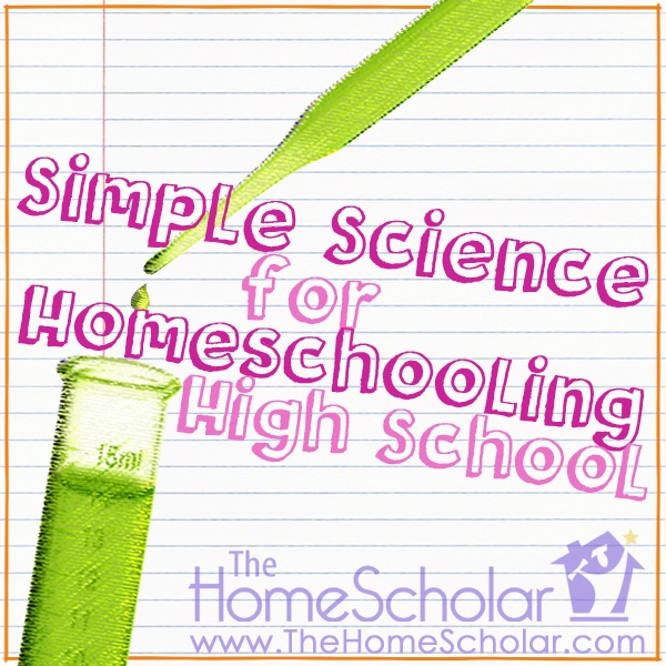 2015 HomeScholar year in review