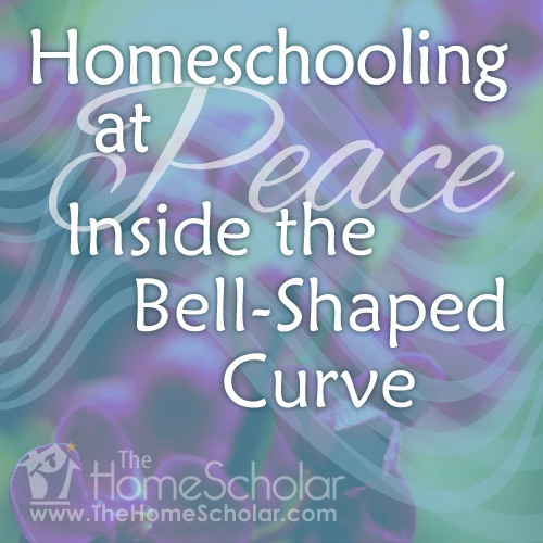 2015 HomeScholar year in review