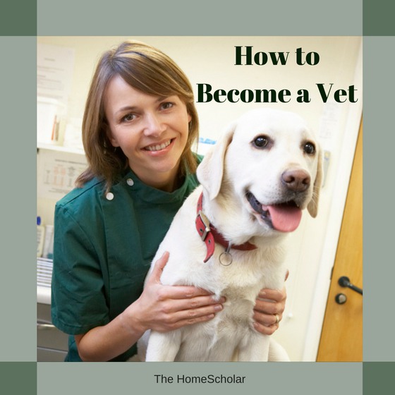how to become a vet